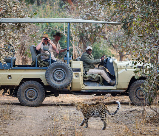 Robin Pope Safaris Two Rivers South Luangwa and Lower Zambezi Thumbnail